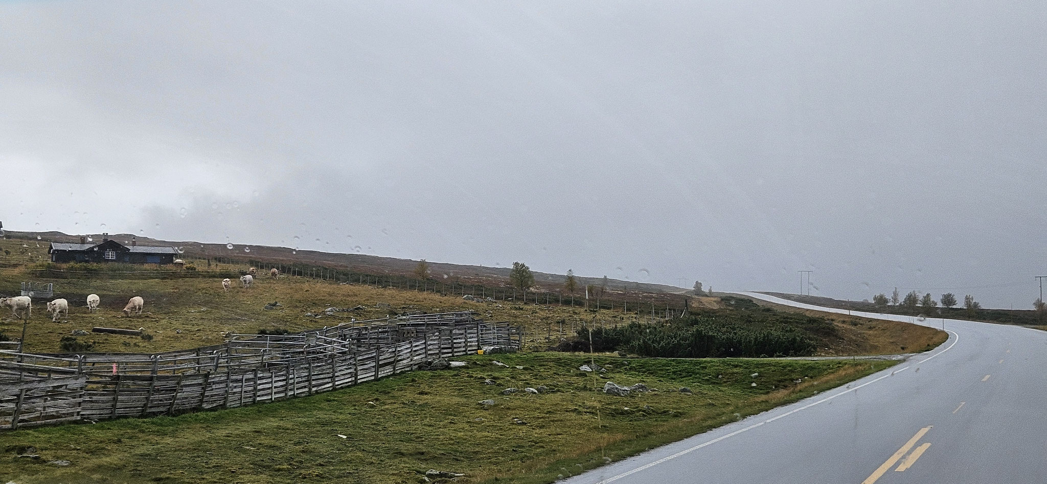 Schon dachten wir...