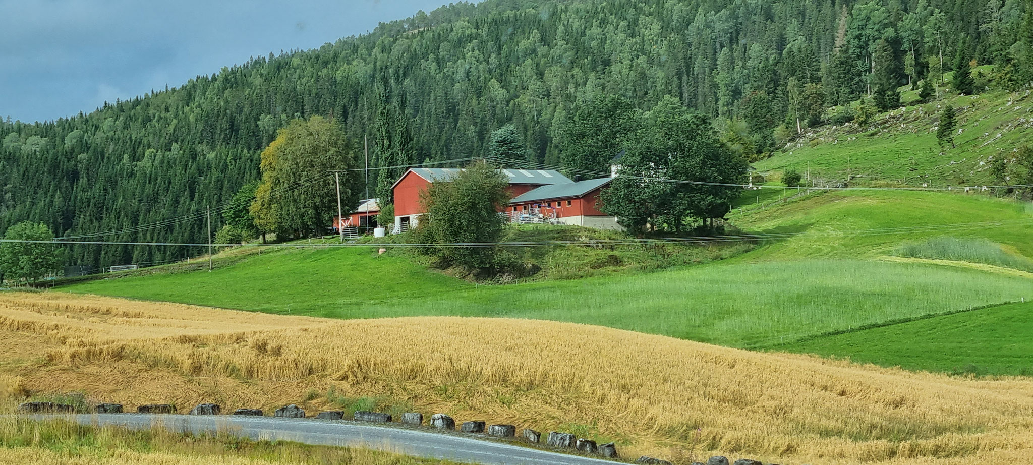 Typisch Norwegische Höfe...