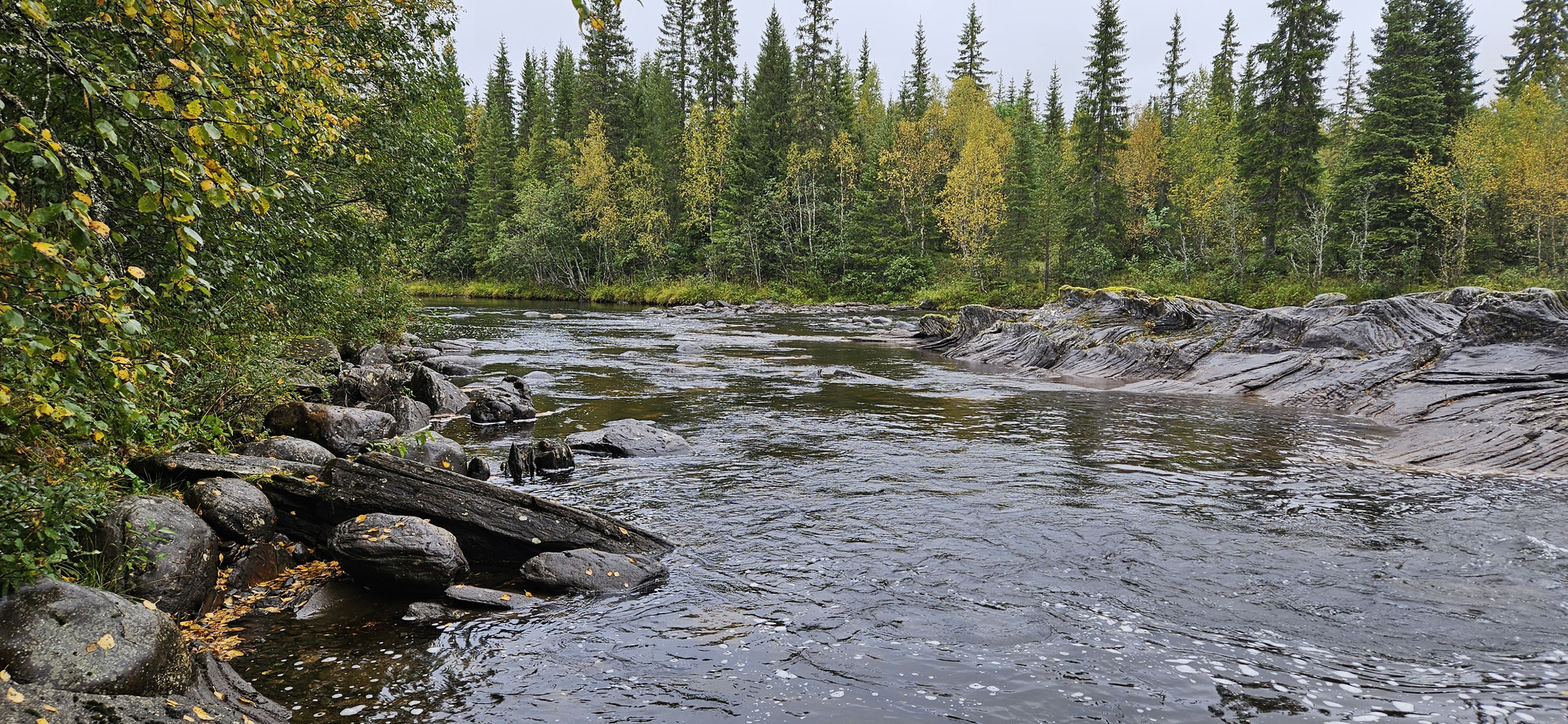 ...die uns gerade beobachten...