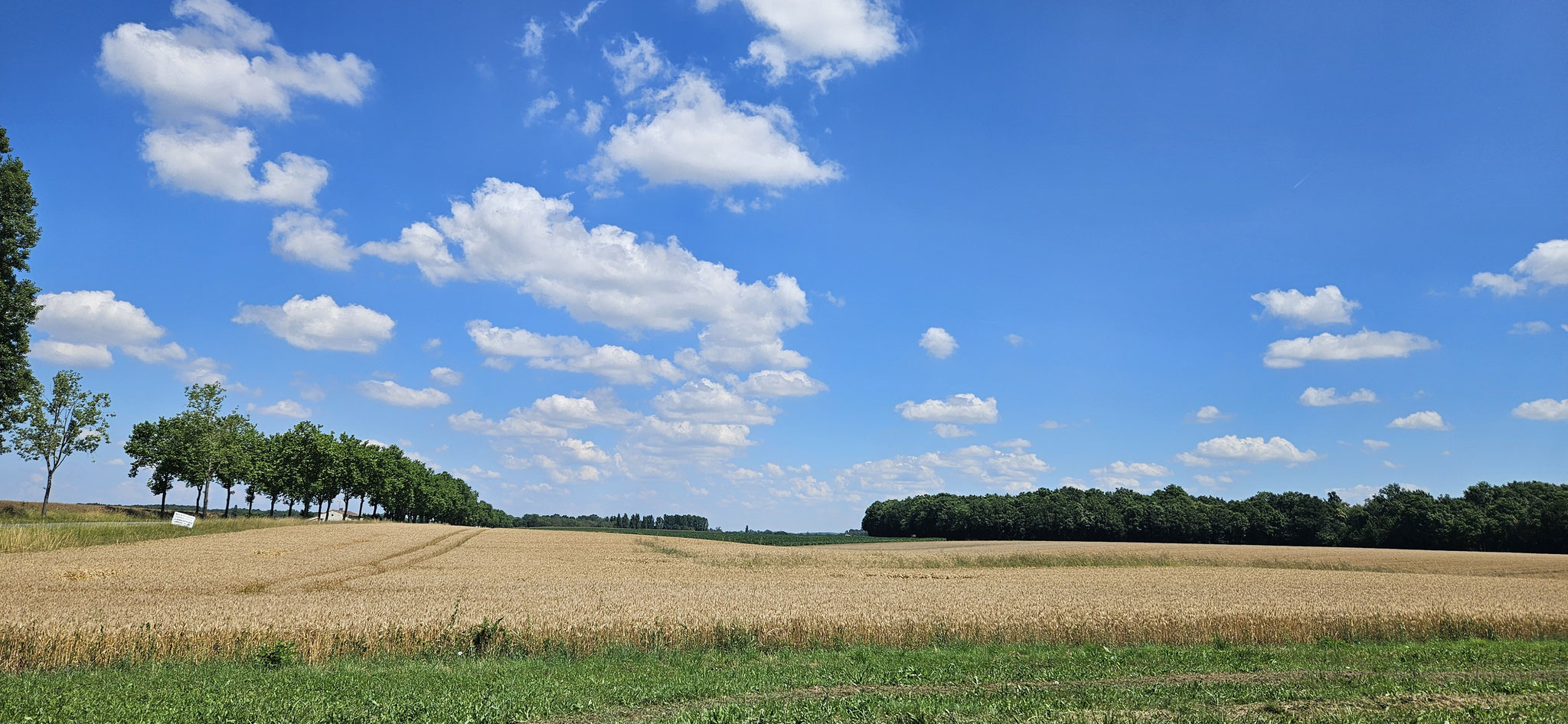 Bei herrlichem Wetter dieses Mal...