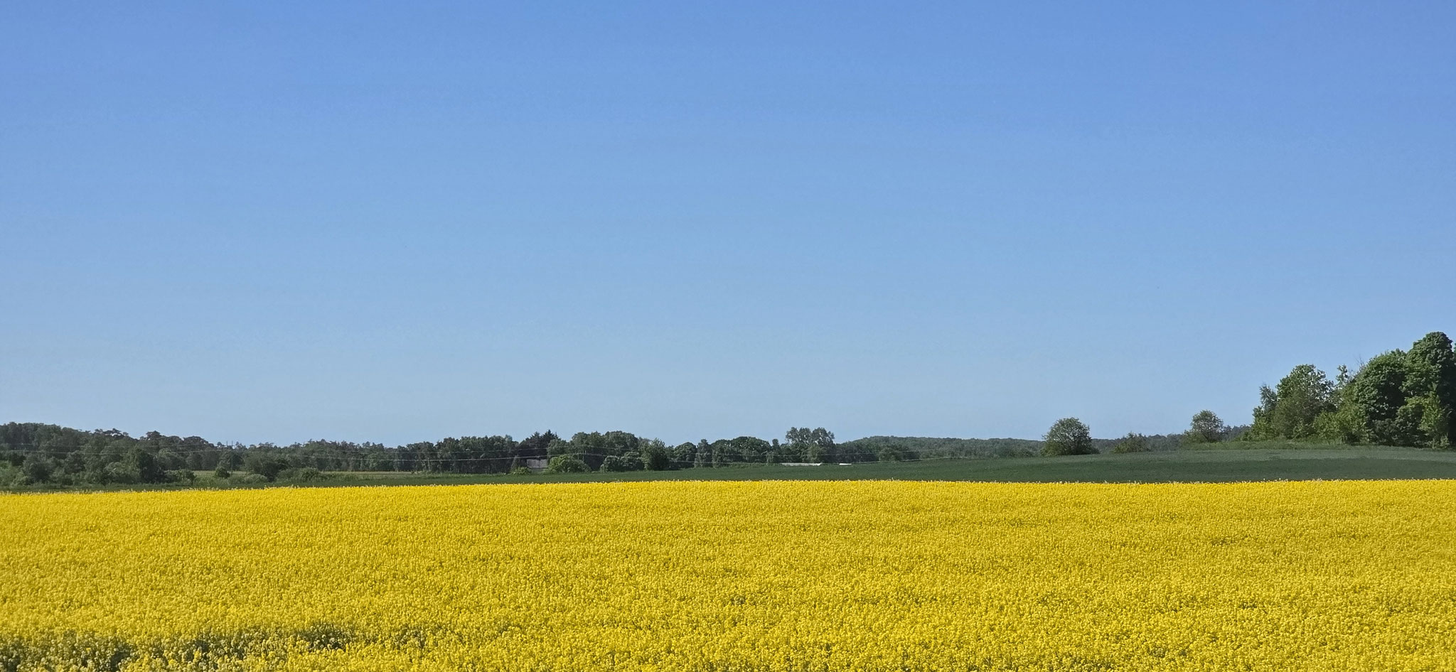 ...reingungslos durch Schweden hindurch