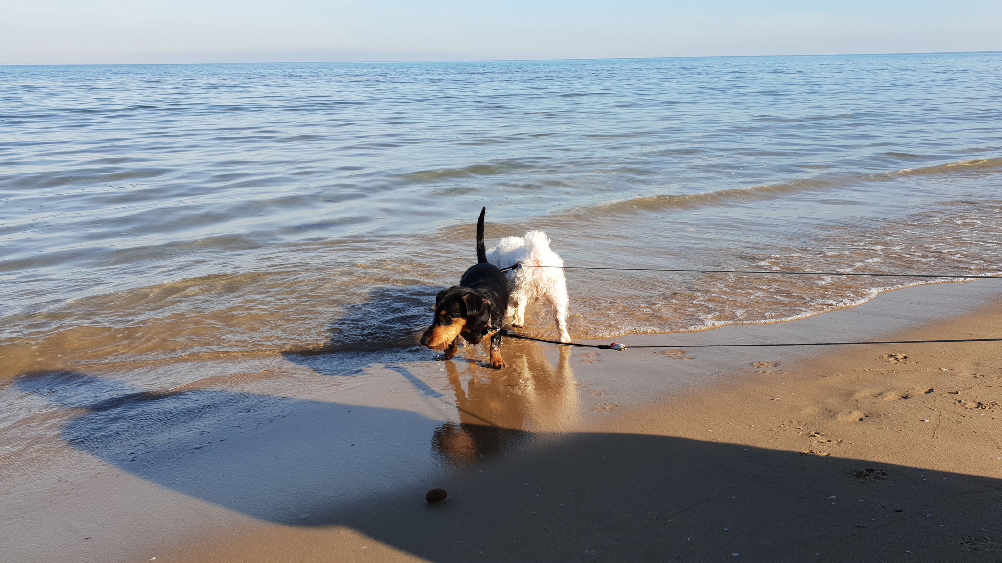 ...im Meer zu spielen