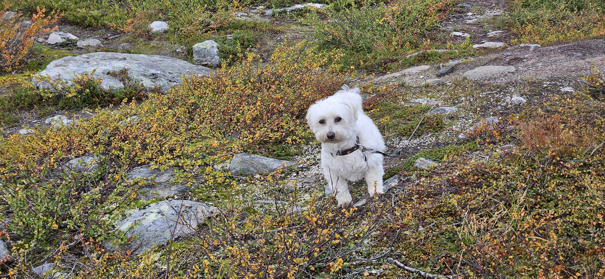 Wilson könnte wohl stundenlang weiter machen...