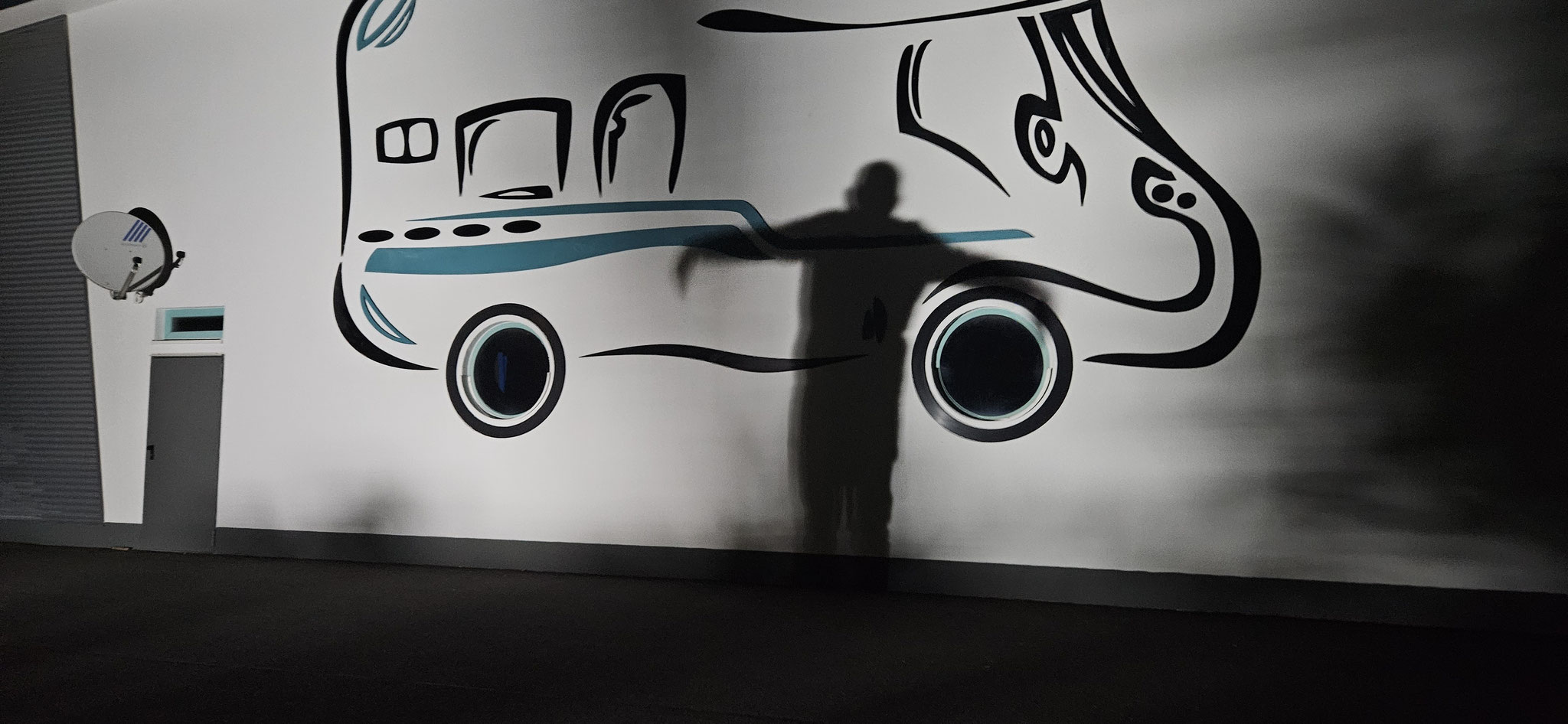 ...aber was ist das für ein Kormoran