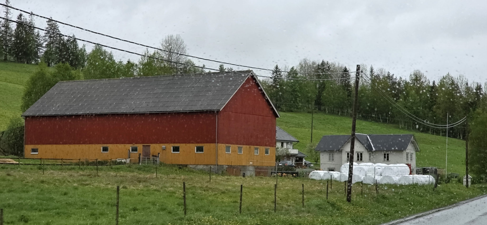 Wie schon gesagt - Norwegen ist auch bei Regen bunt