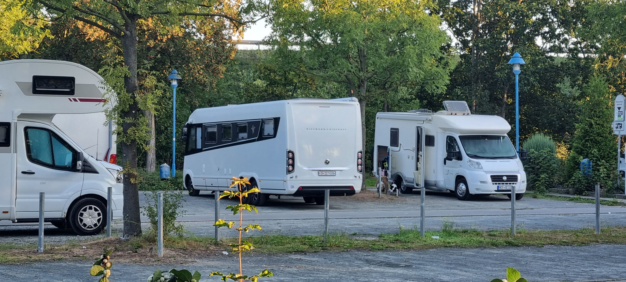 Natürlich werden die Hunde auch vor unserer Türe gefüttert...toll wenn man selber mit Hunden ins WoMo zurück möchte