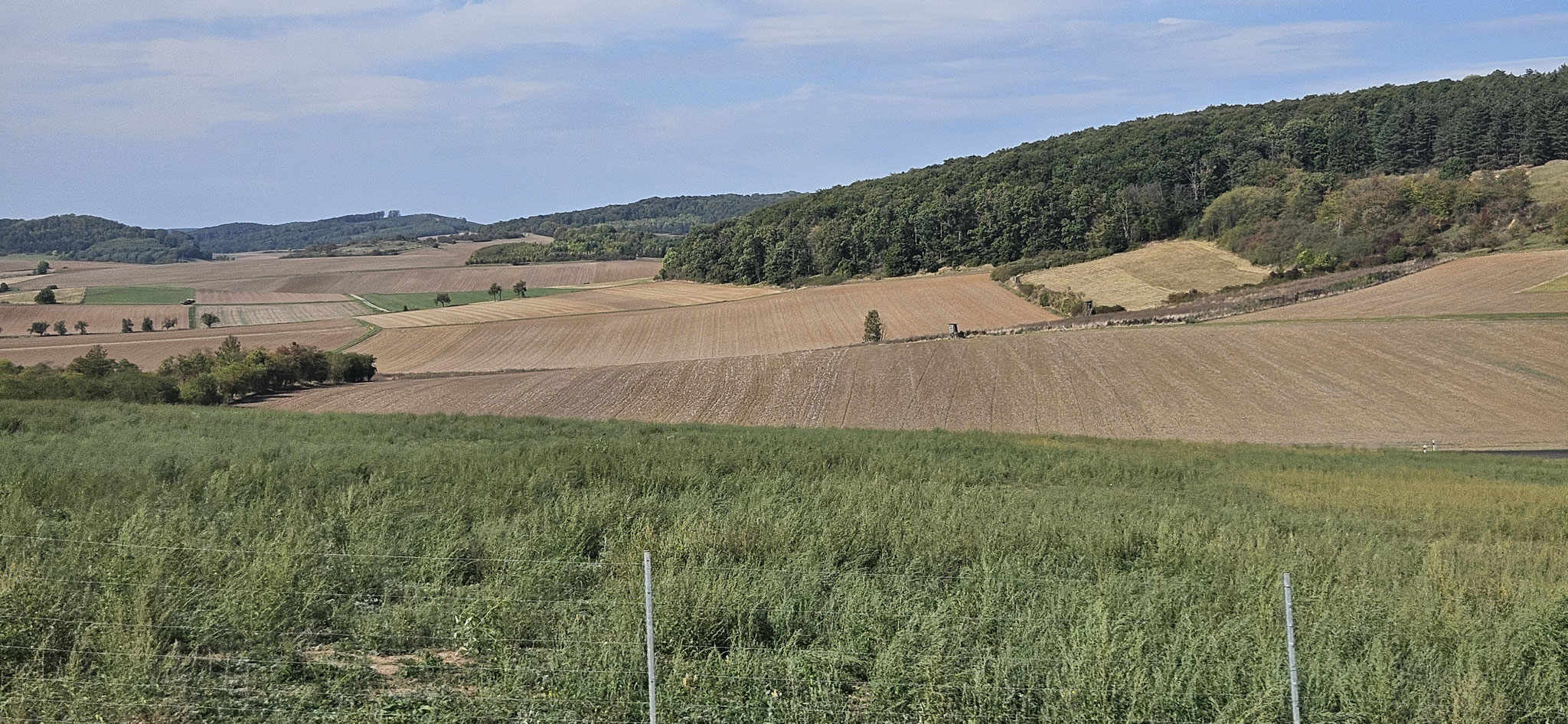 Das Wetter ist ja schön aber 31 Grad? Eieiei!
