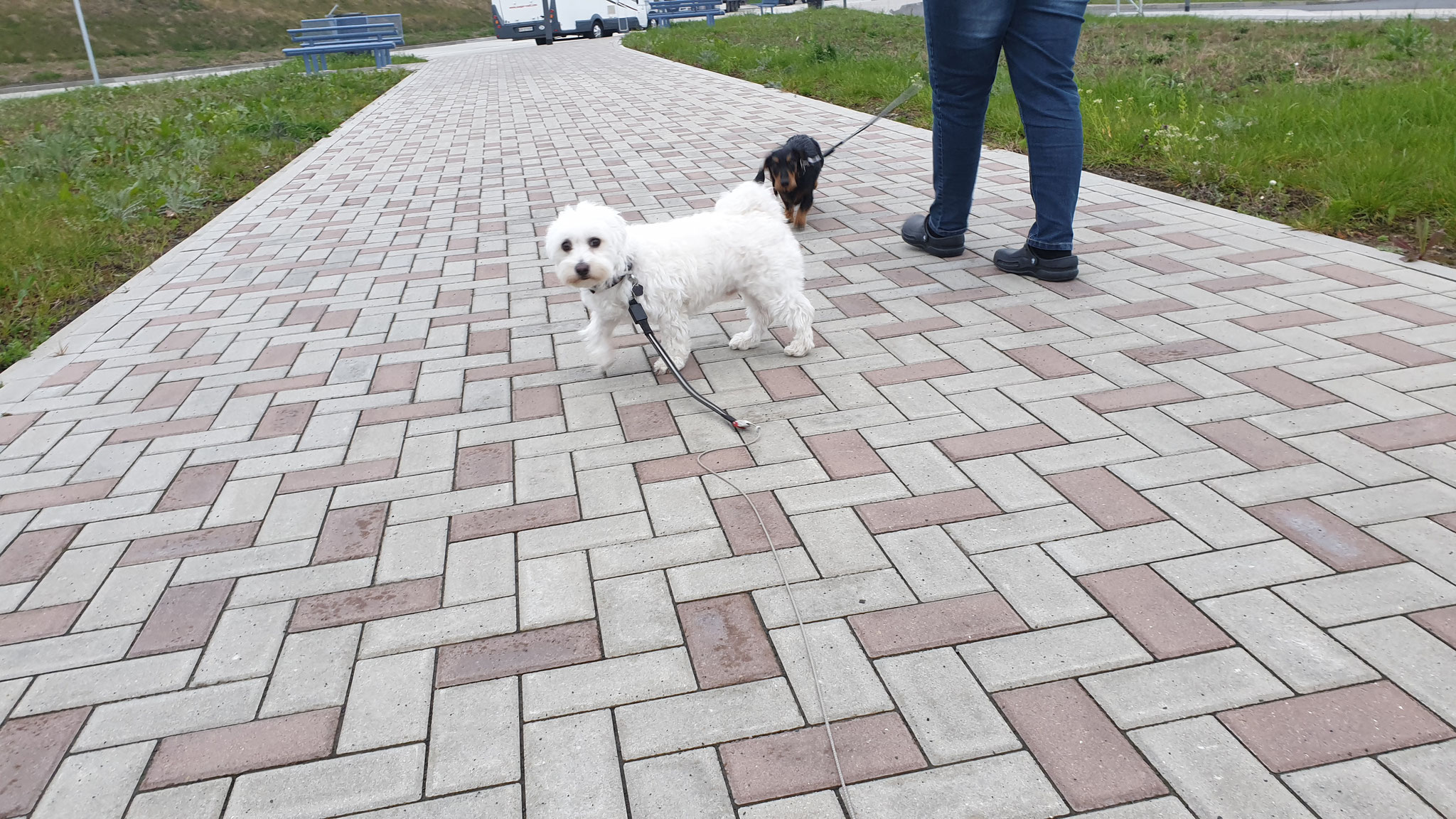 ...Wilson & Olly sind glücklich über viel Zeit mit uns