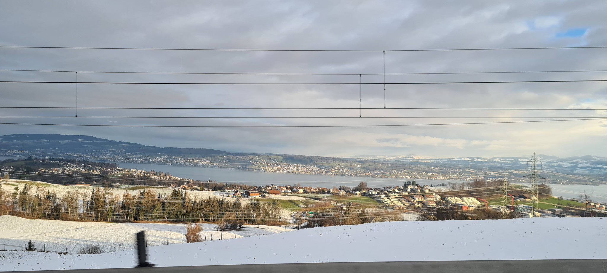 Blick auf den Zürichsee