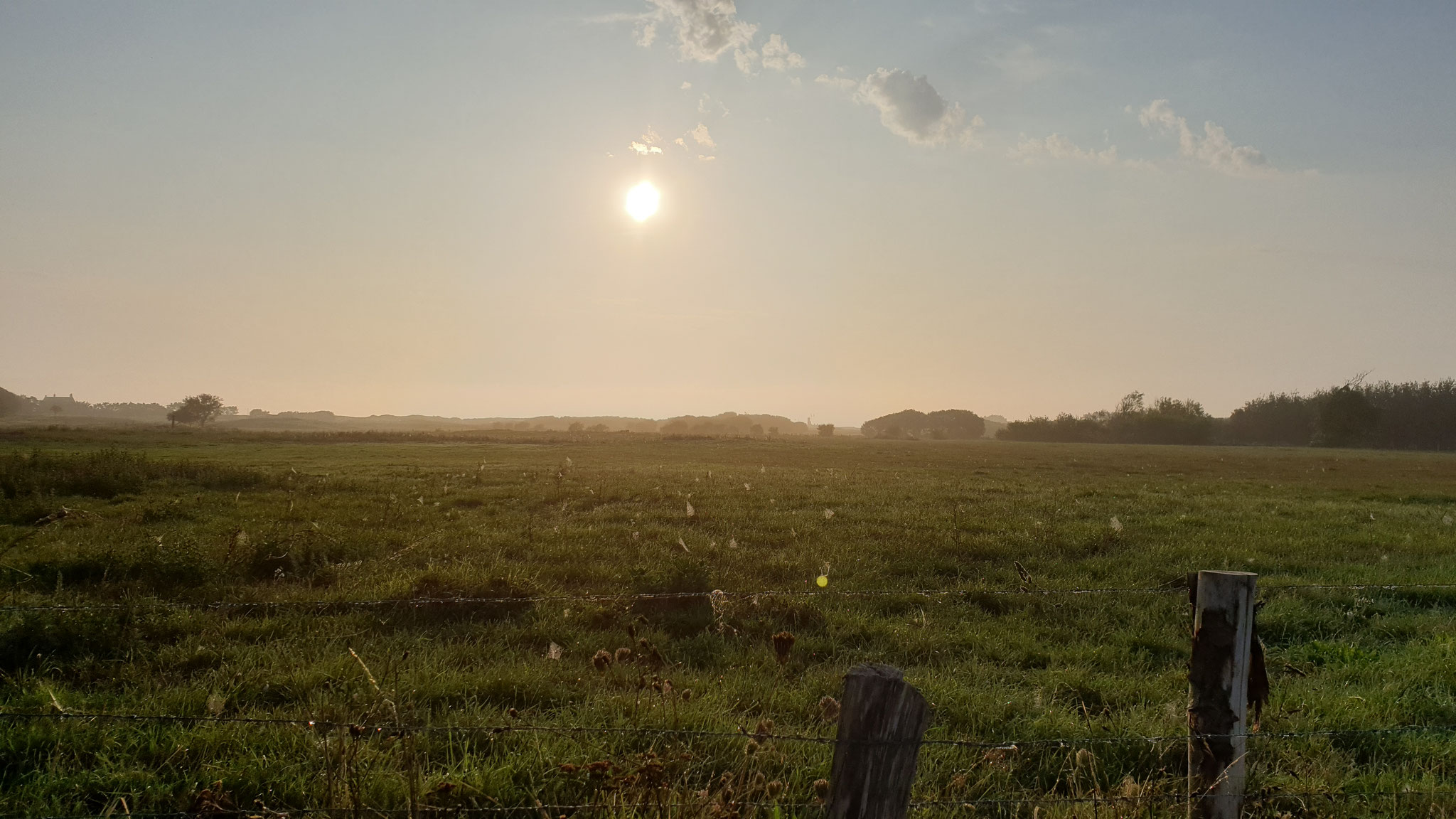 Der erste Spaziergang am heutigen Tag