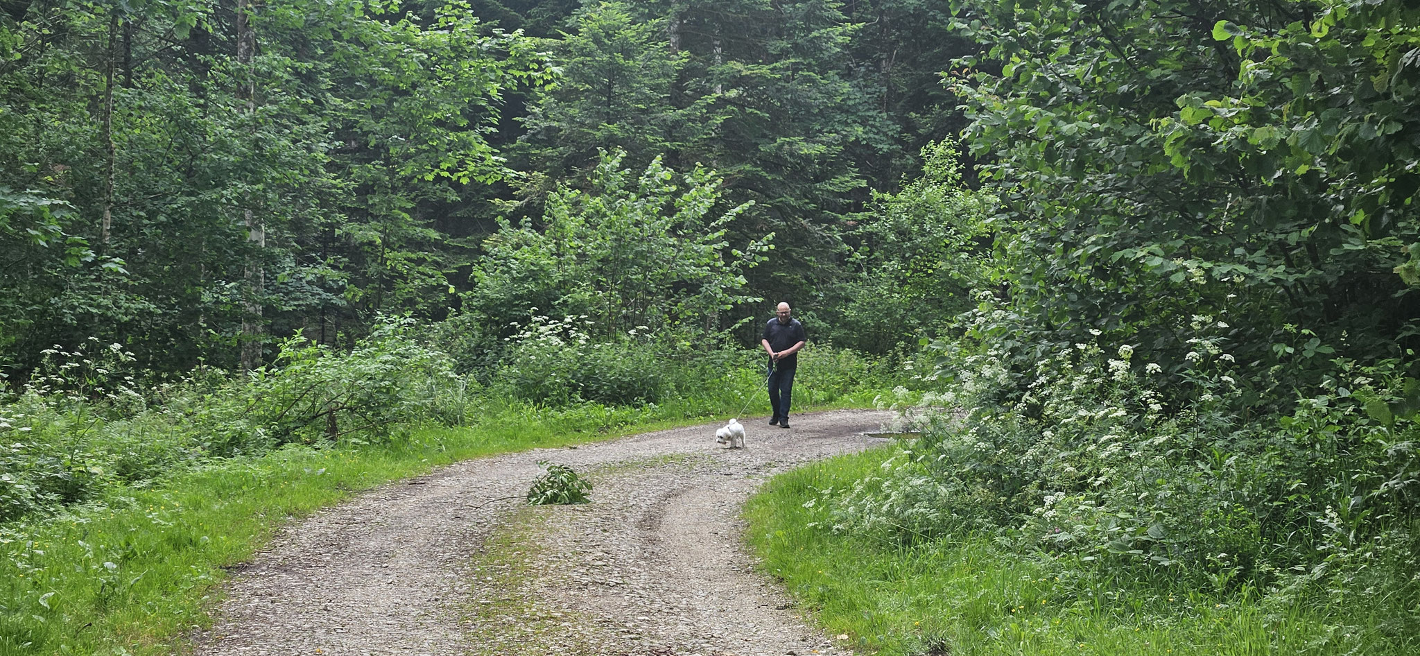 Daniel und Wilson machen eine grössere Runde...
