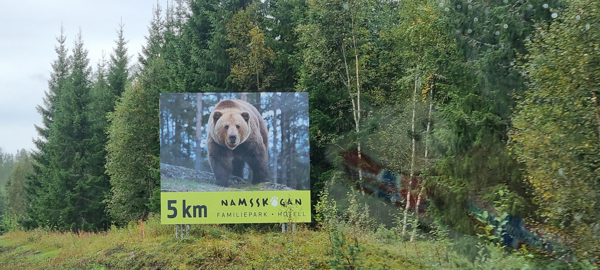 ...und wieder unser Bär