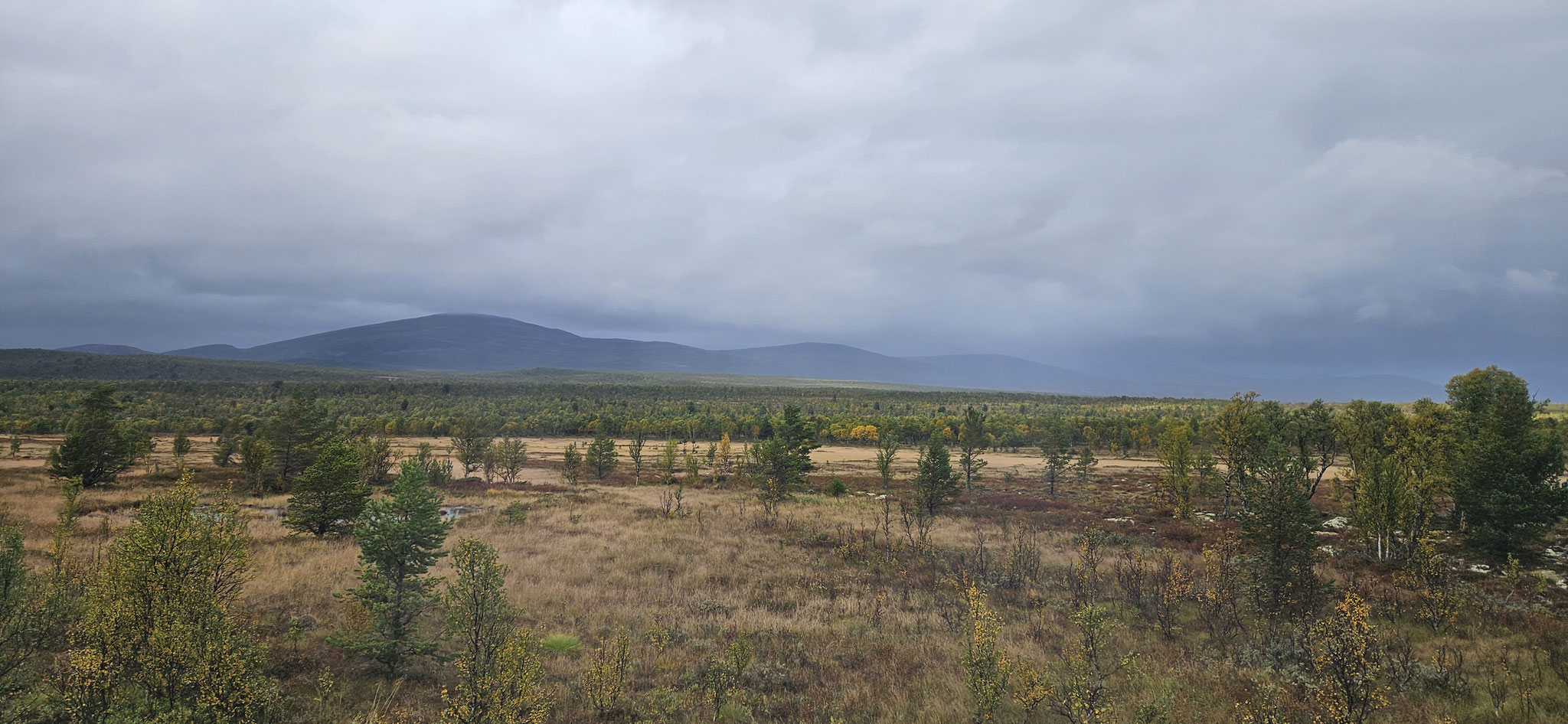 Was wir hier zu sehen bekommen...