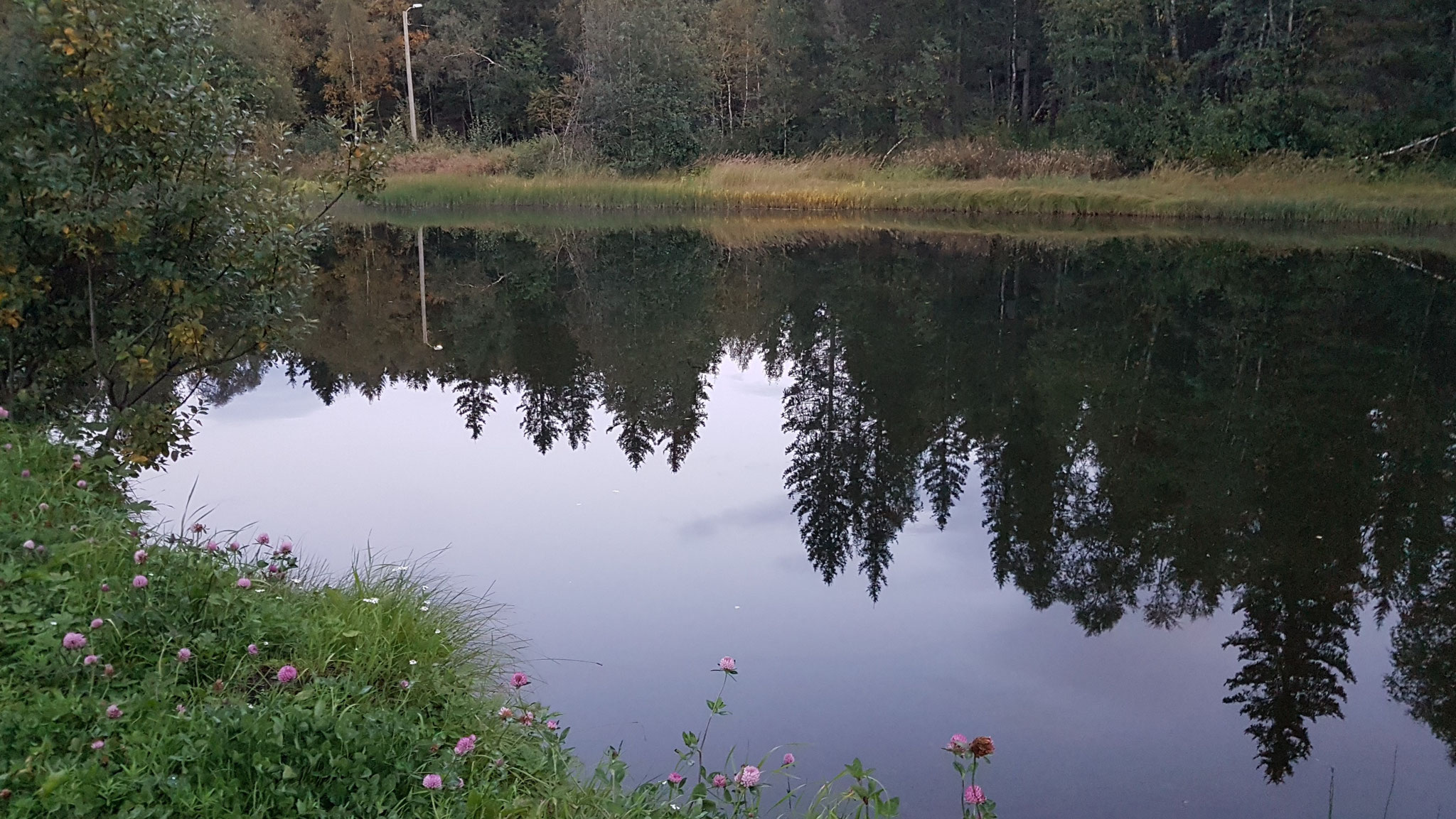 Bach zwischen Camping und Armierungsstahlwerk