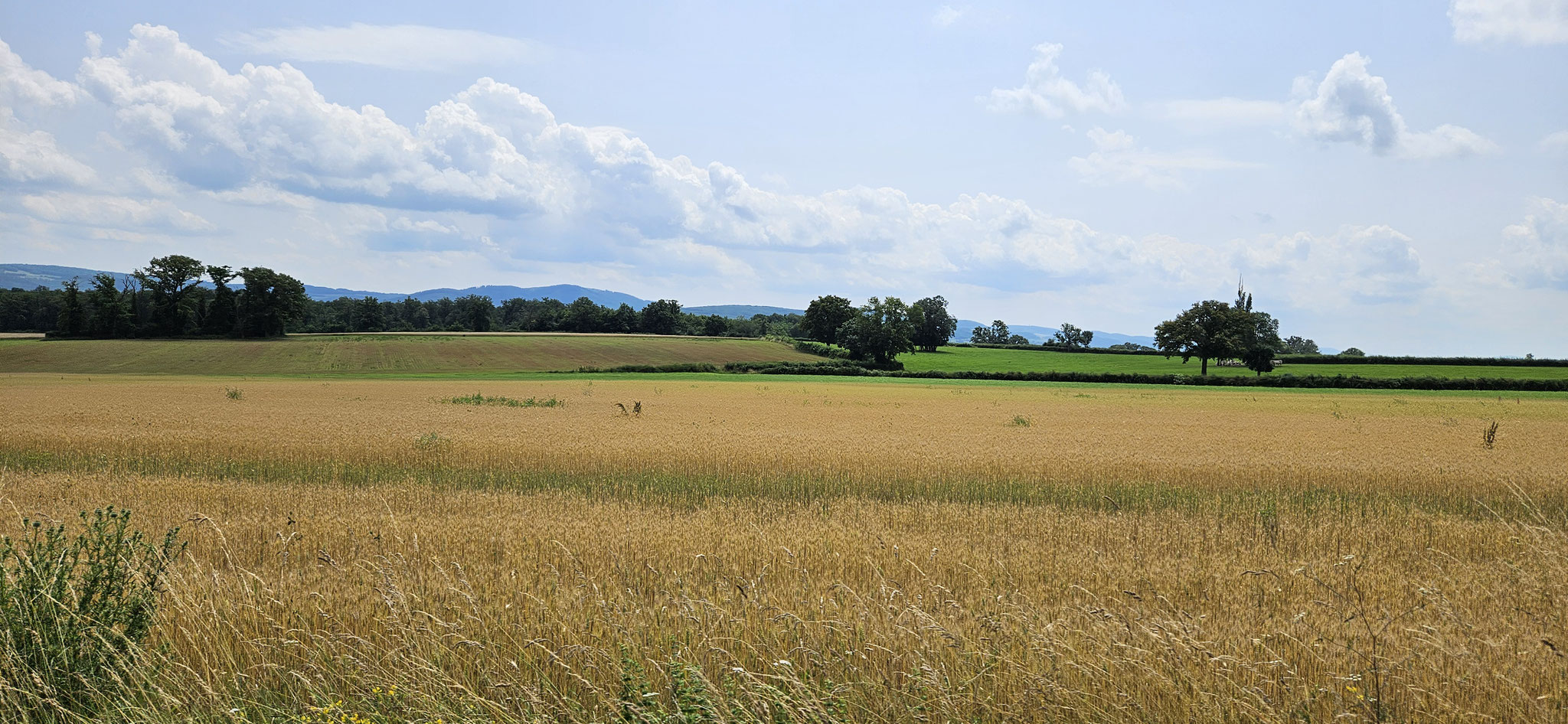Landschaftlich einmalig schön unsere Strecke