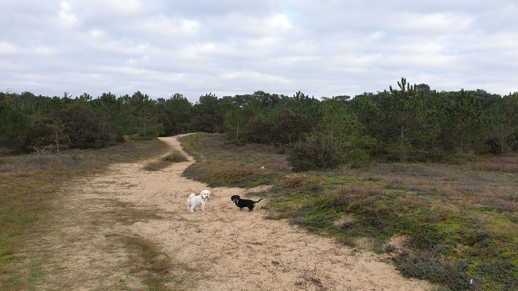 Ab an den Strand...