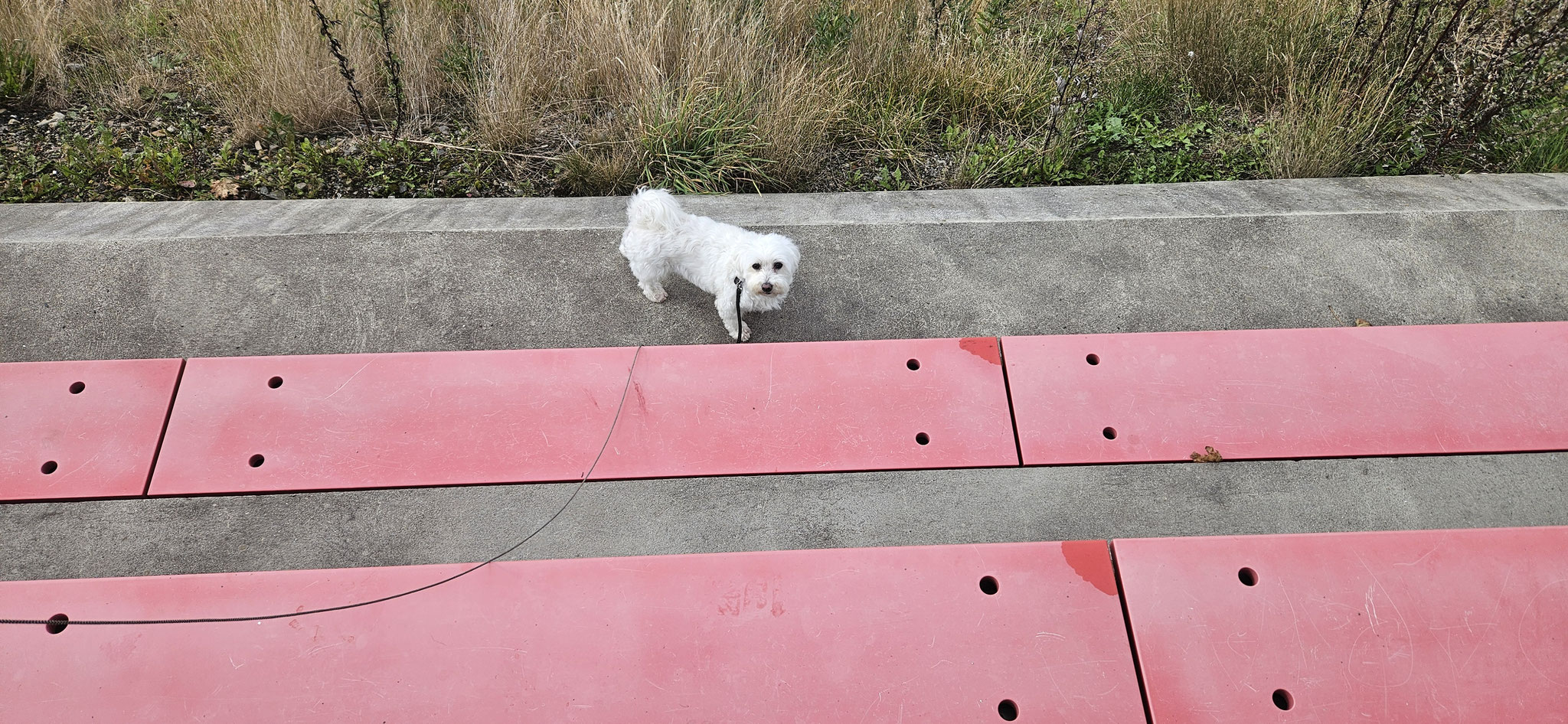 Wie komme ich jetzt hier wieder hoch?
