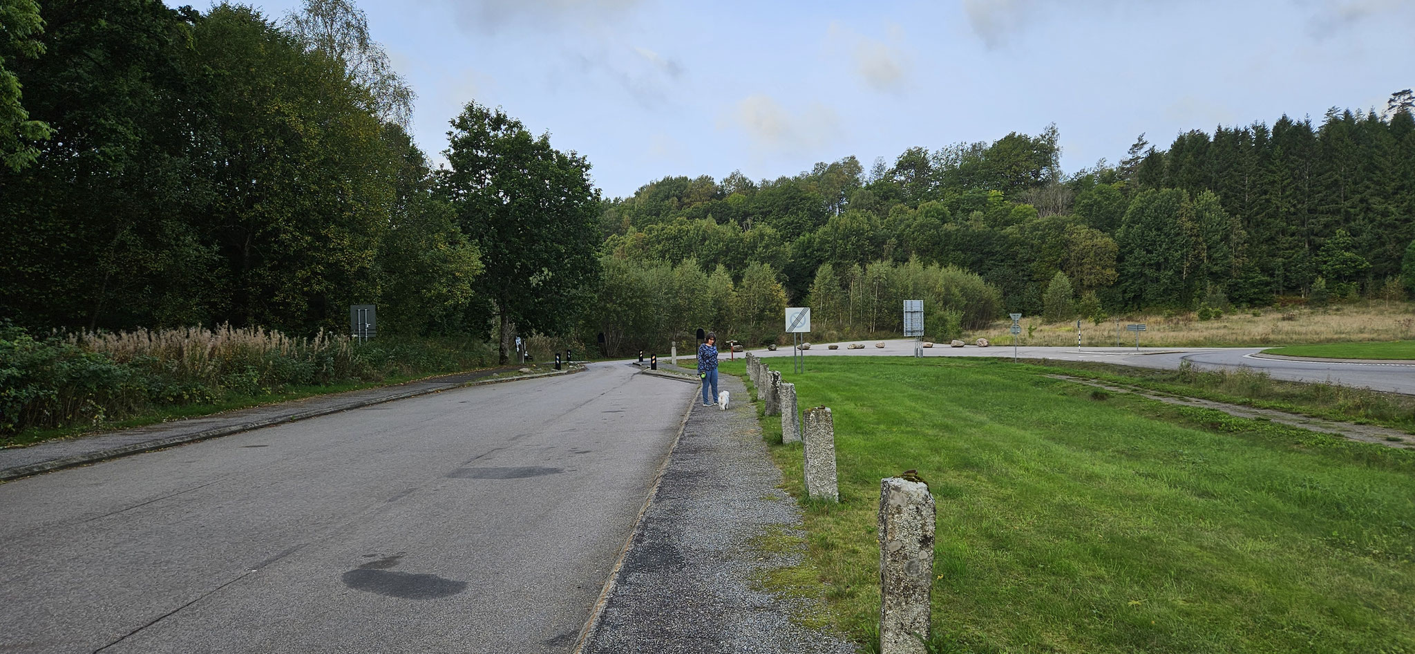 Wilson muss mal raus...