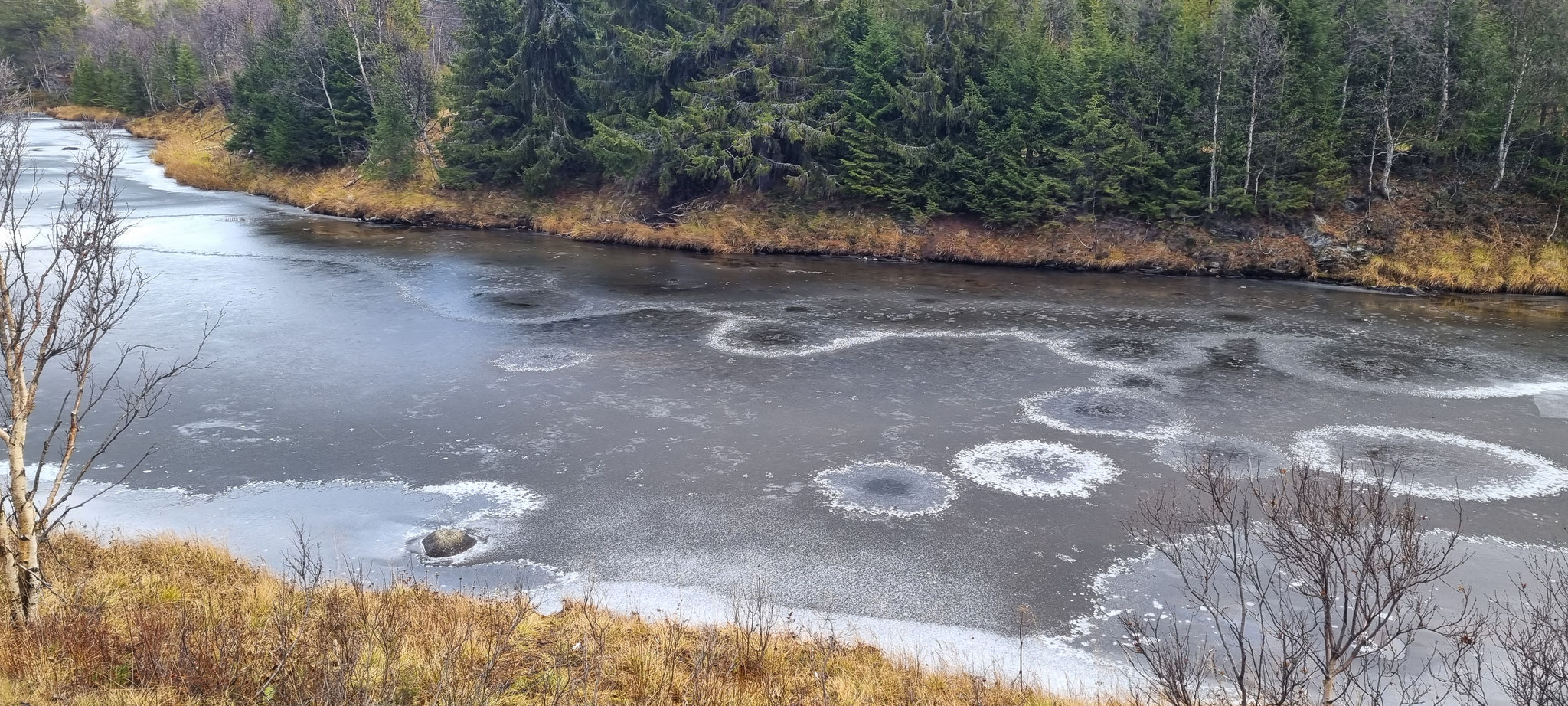 Eiskunst im Fluss