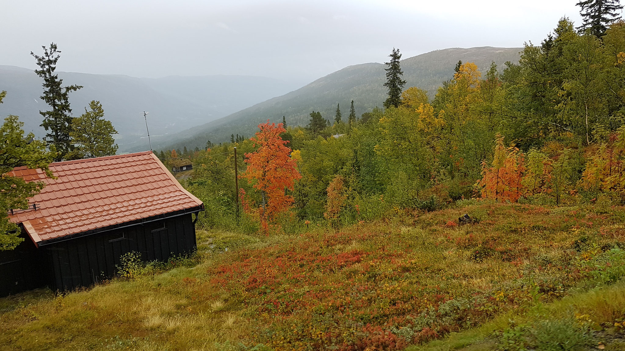 Es herbstet schon in Norwegen