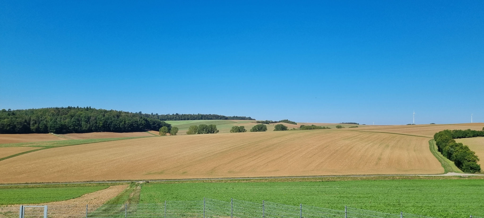 Wieder Land in Sicht