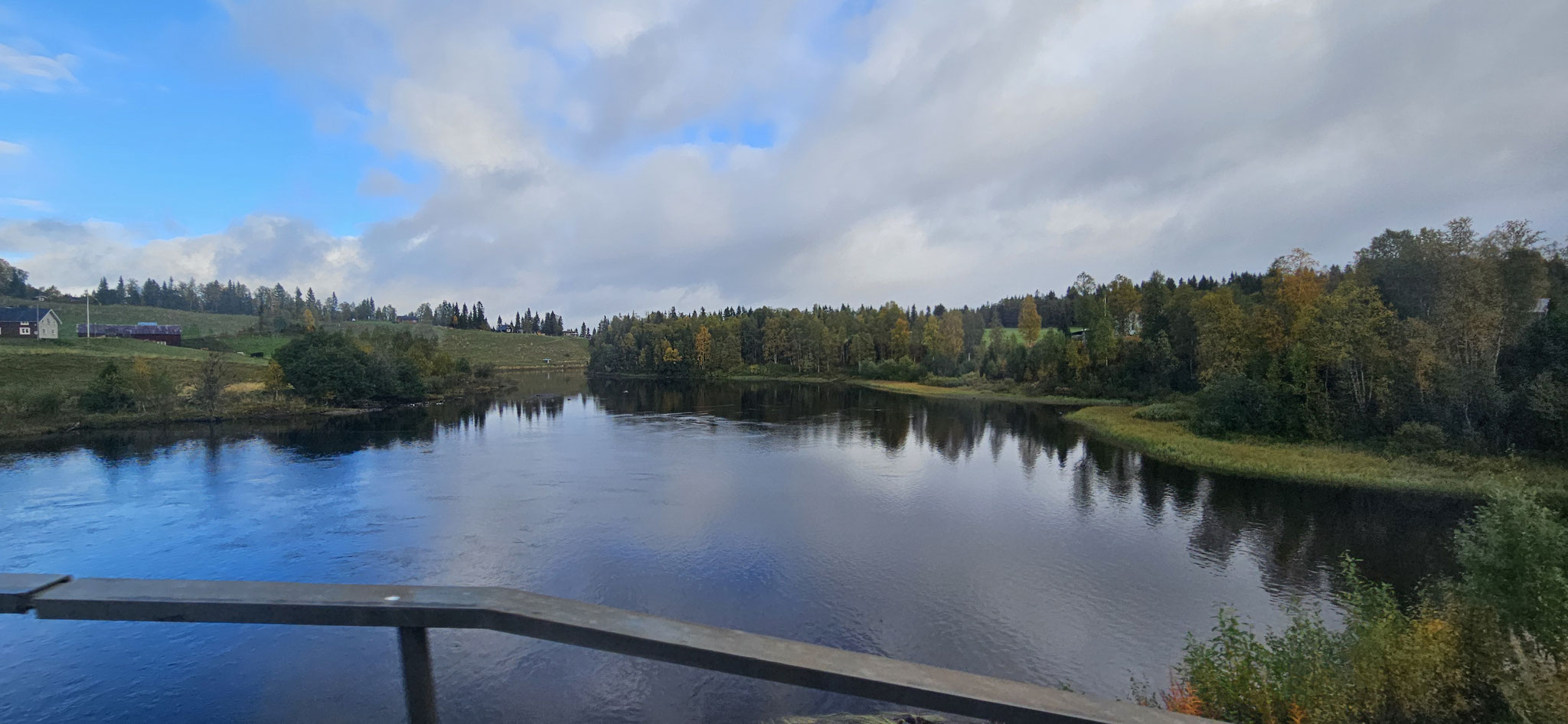 Keine Mücken in Sicht