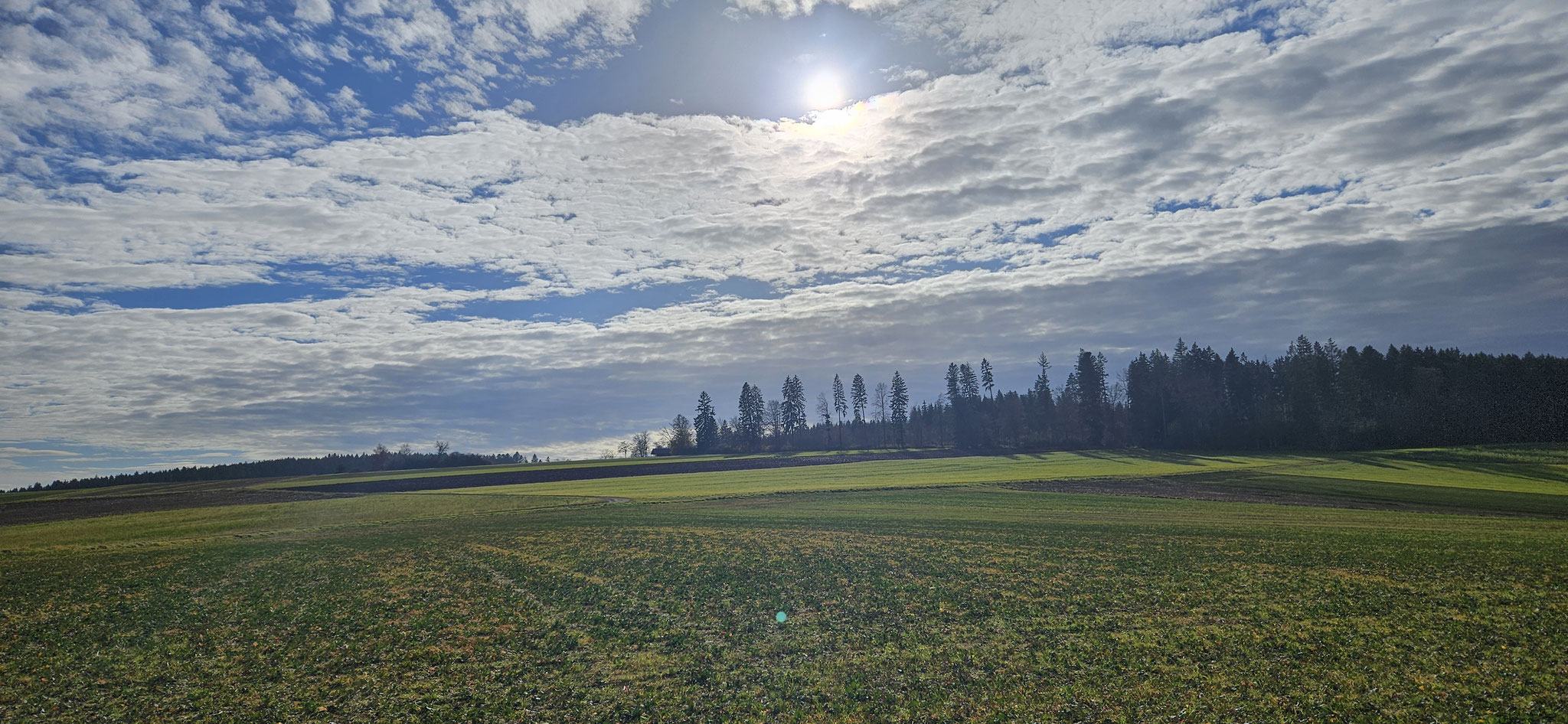 Egal - solange die Sonne lacht ist alles gut