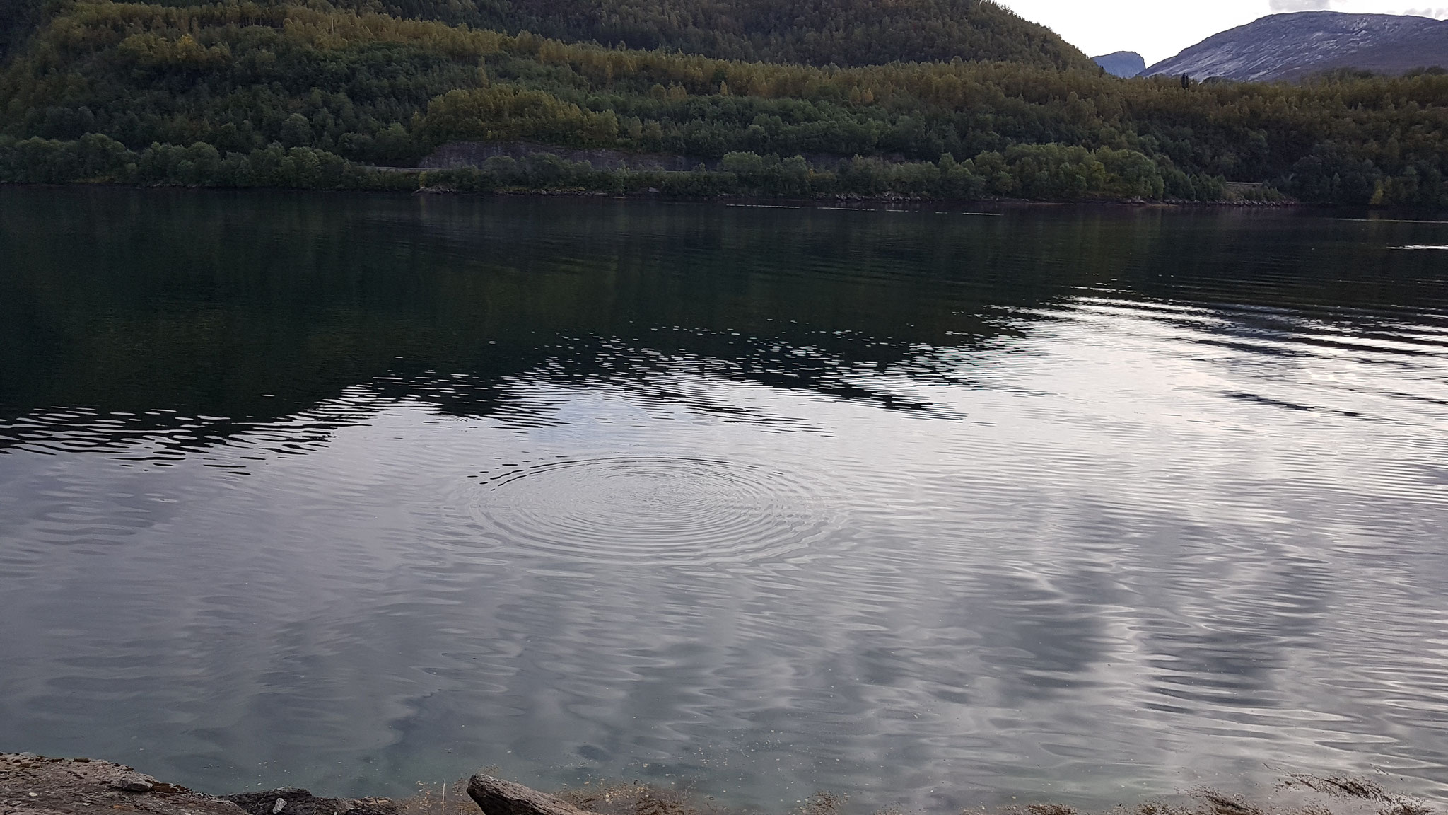 Ein kleines Wellenspiel im spiegelflachen See