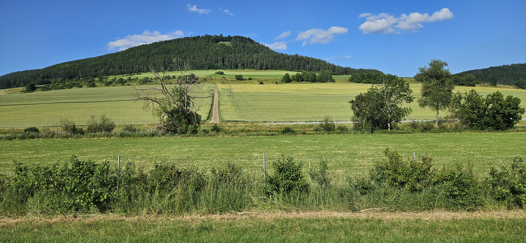 Schnell weiter nach Dietingen