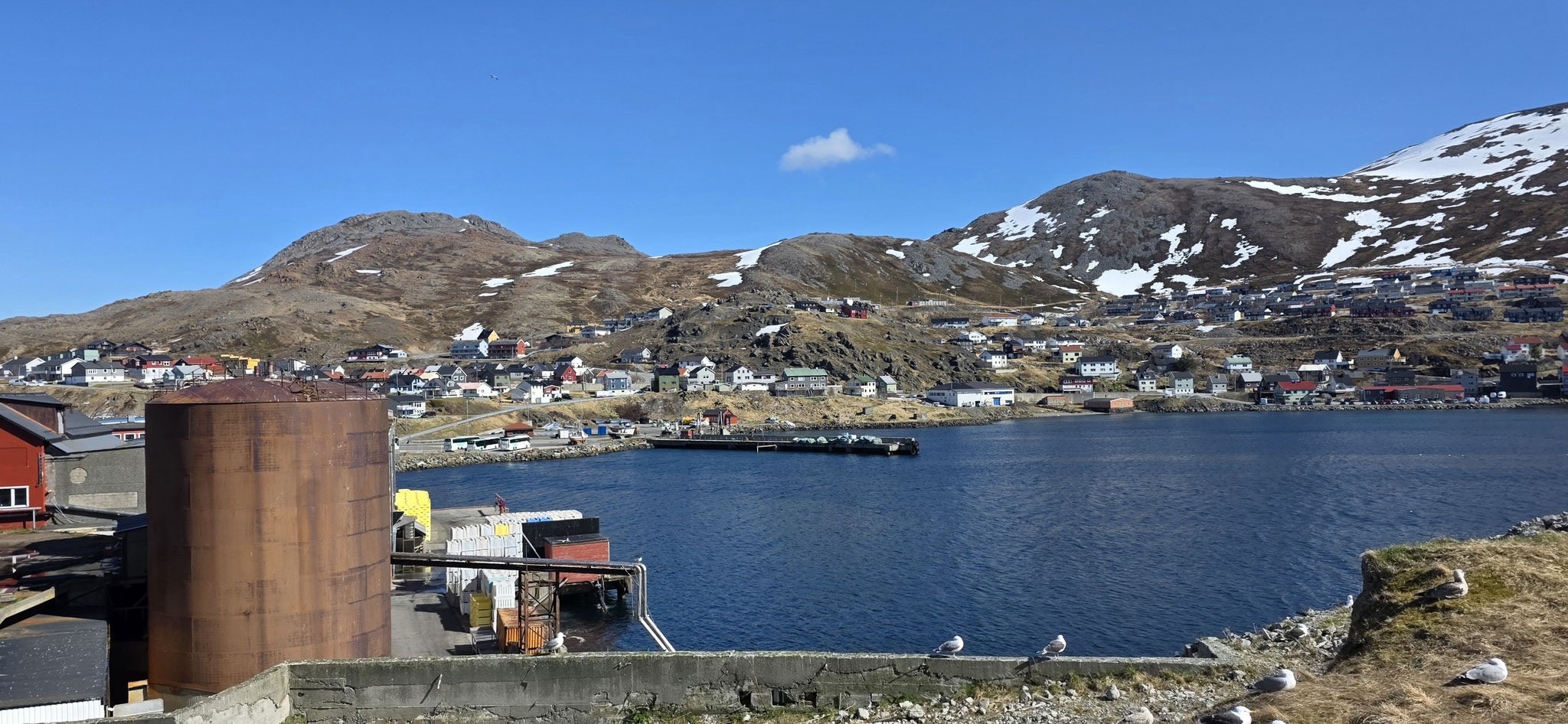 ...Honningsvåg voraus