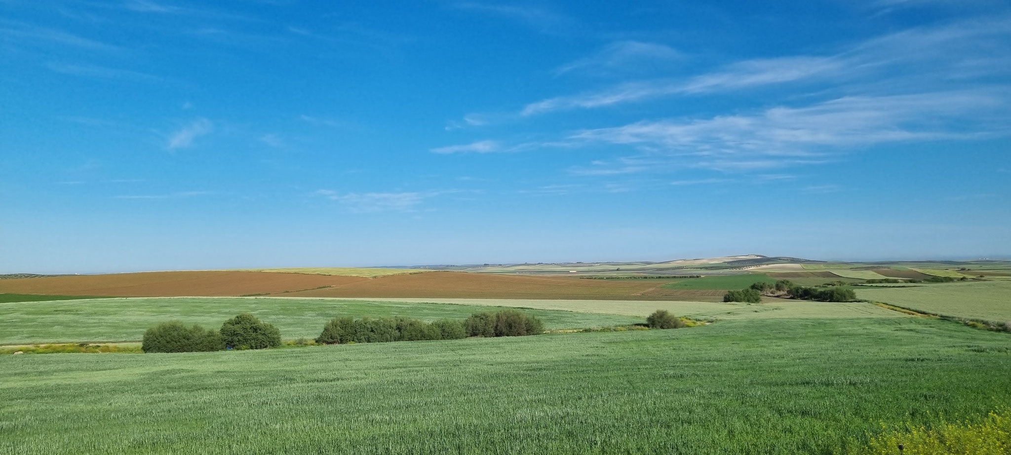 Die Rottöne verschwinden immer mehr aus der Landschaft...