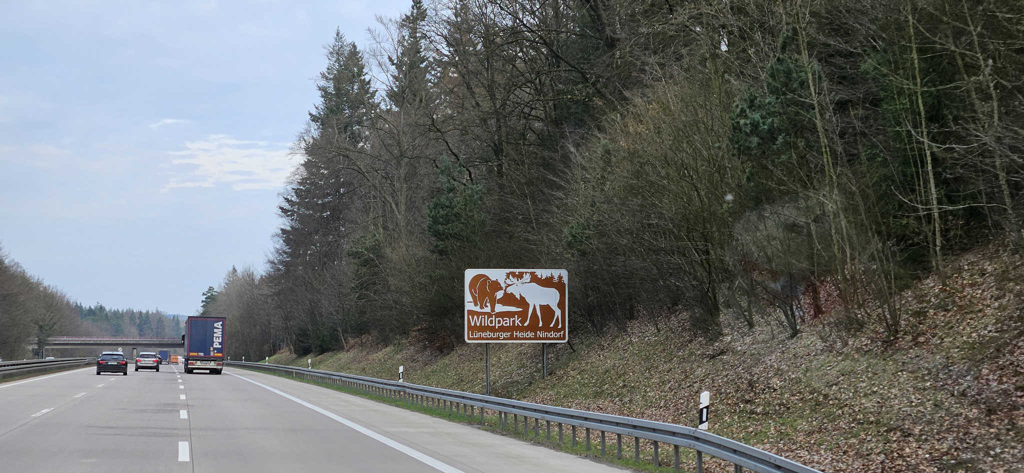 ...und den ersten Elch haben wir schon entdeckt
