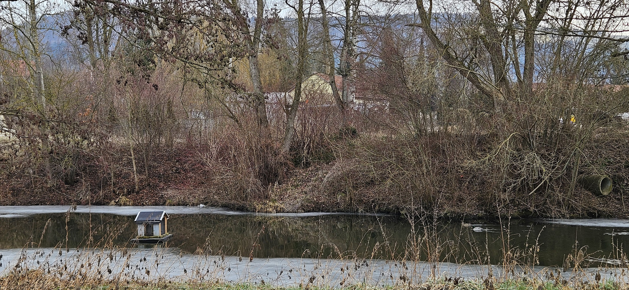 Hinter uns die alte Donau mit Eis...