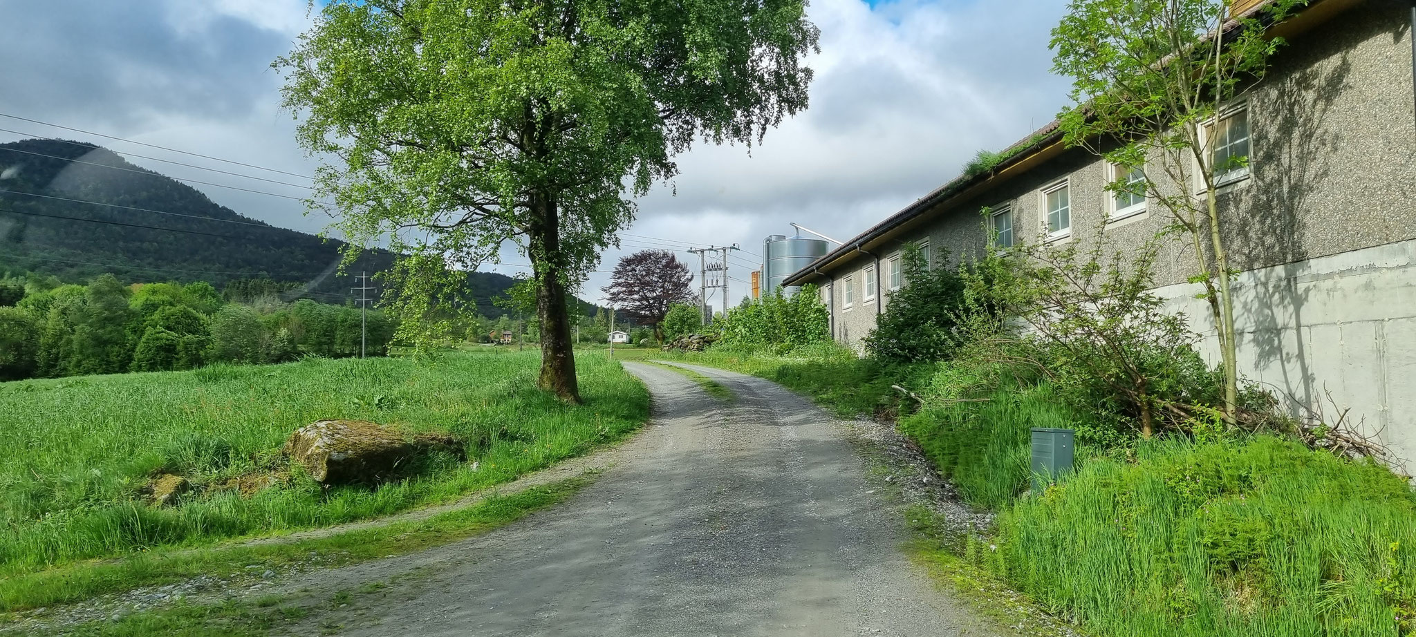 Schmaler Feldweg...