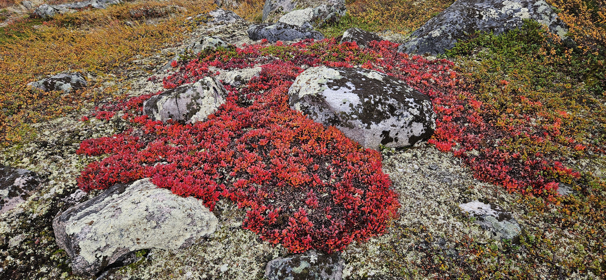 ...und wieder dieses Rot