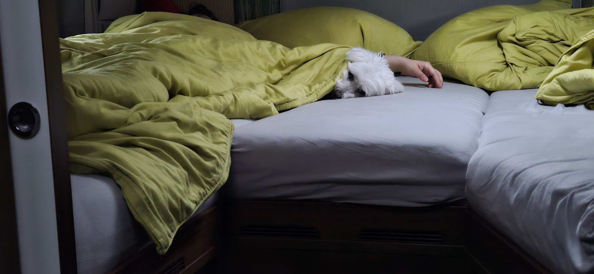 Guten Morgääähn Wilson - aufstehen!