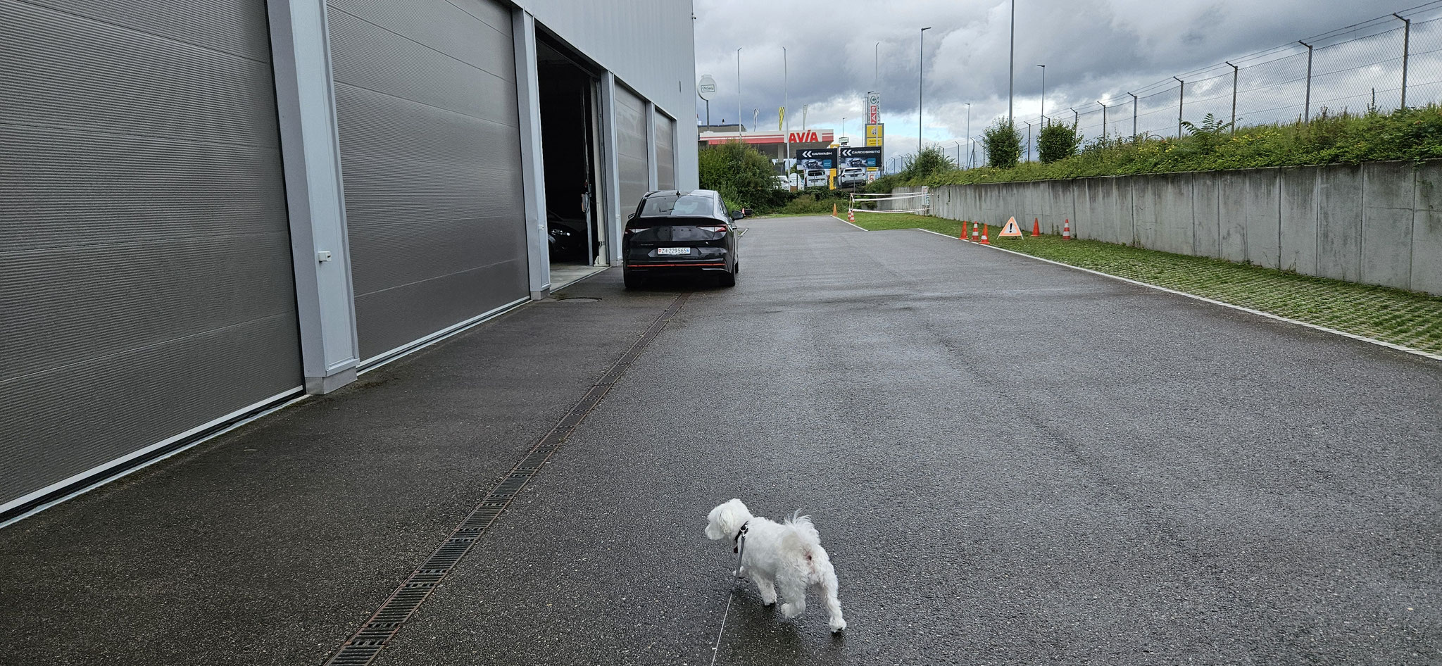 Schnell schnell - es geht gleich los!