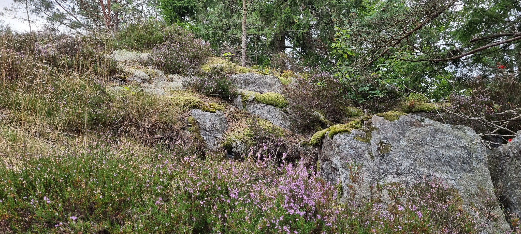 Schöner Rastplatz in Schweden