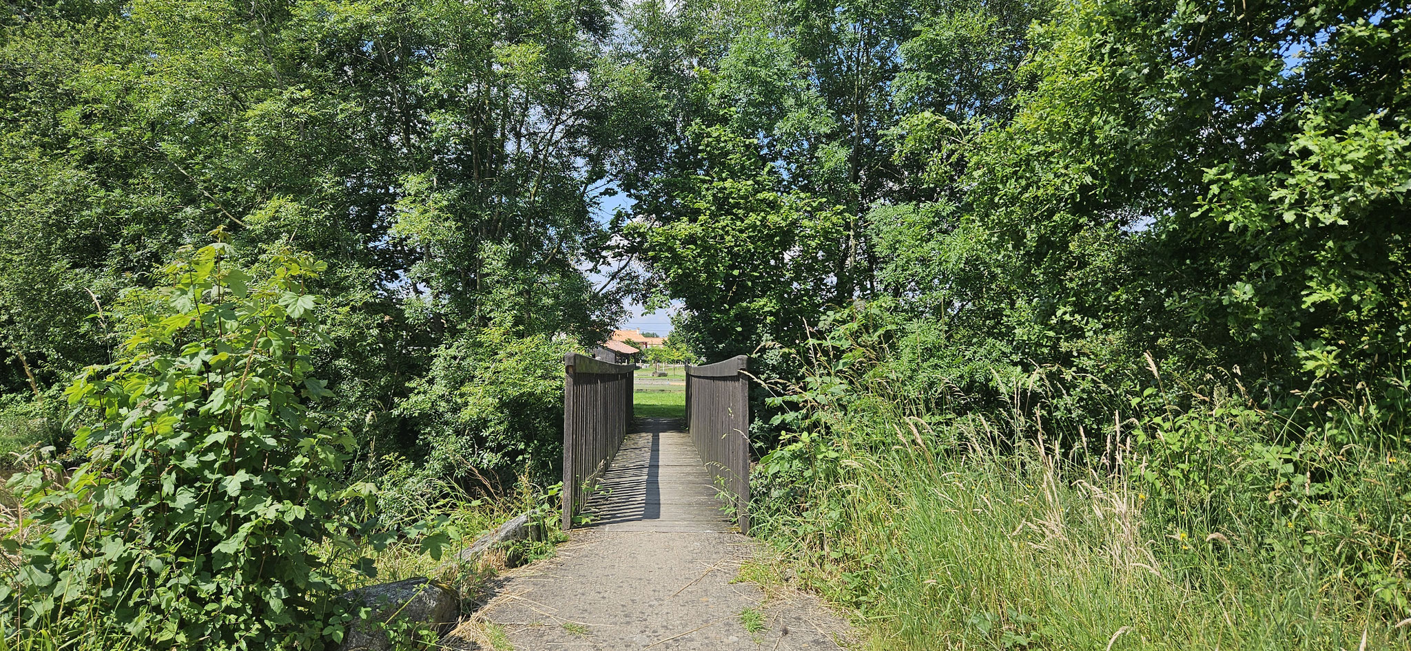 Und noch eine Brücke entdeckt