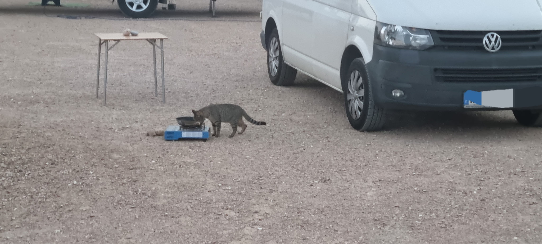 Liebe junge Neucamper - darum lässt man nie eine Pfanne draussen stehen ;-)