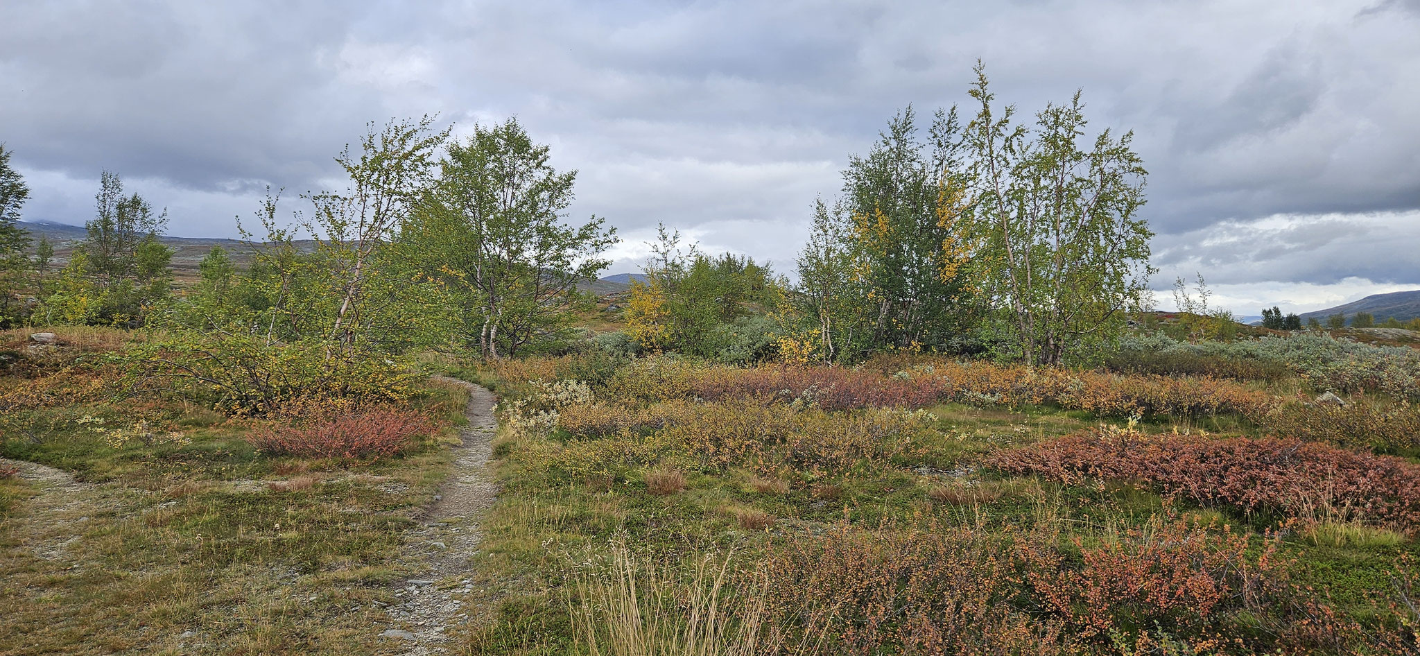 ...und unternehmen einen Spaziergang