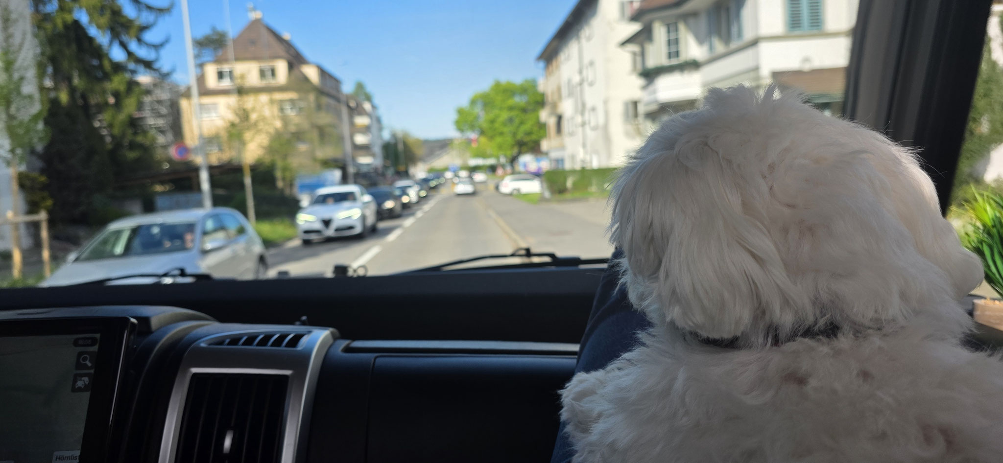 Noch im Dorf nimmt Wilson seine bekannte Reiseposition ein