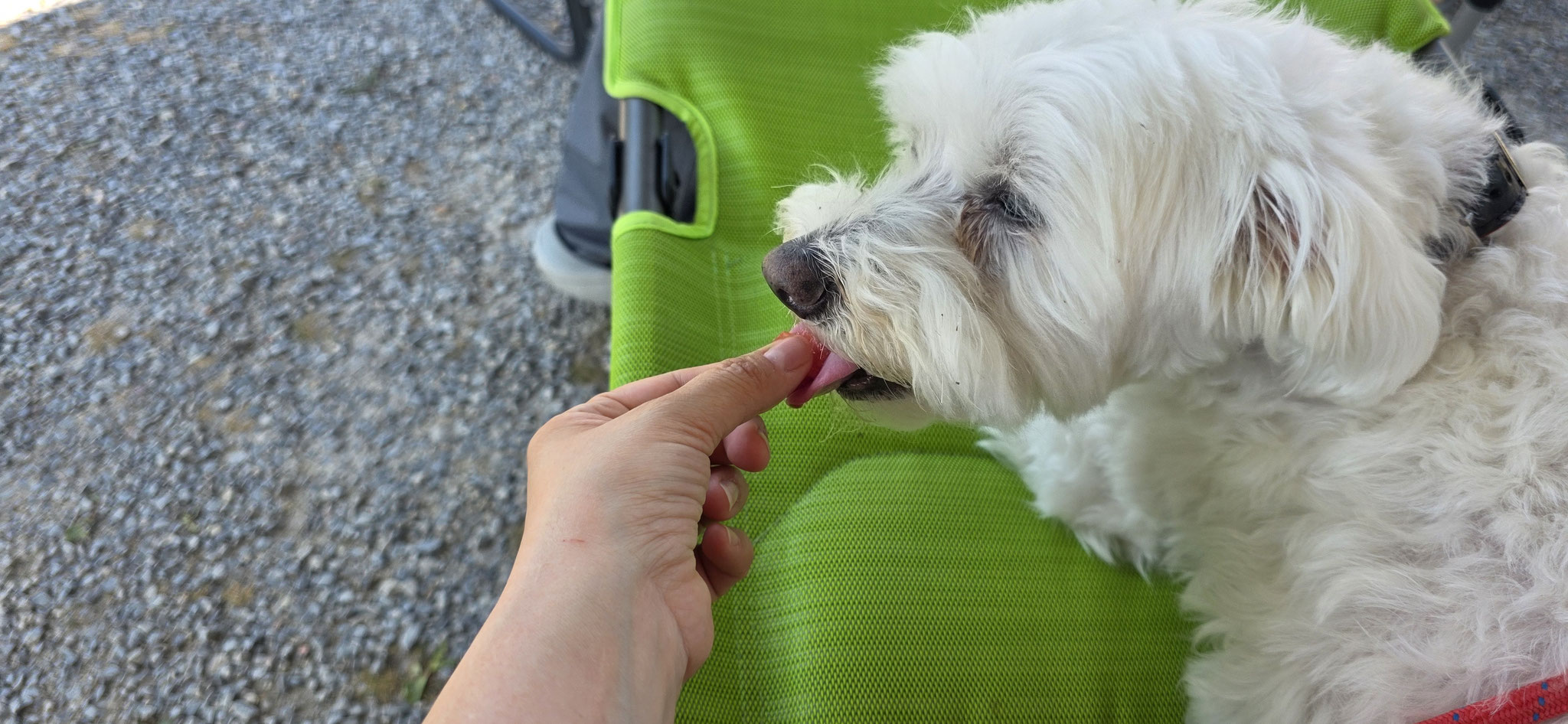 ...mag auch Wilson