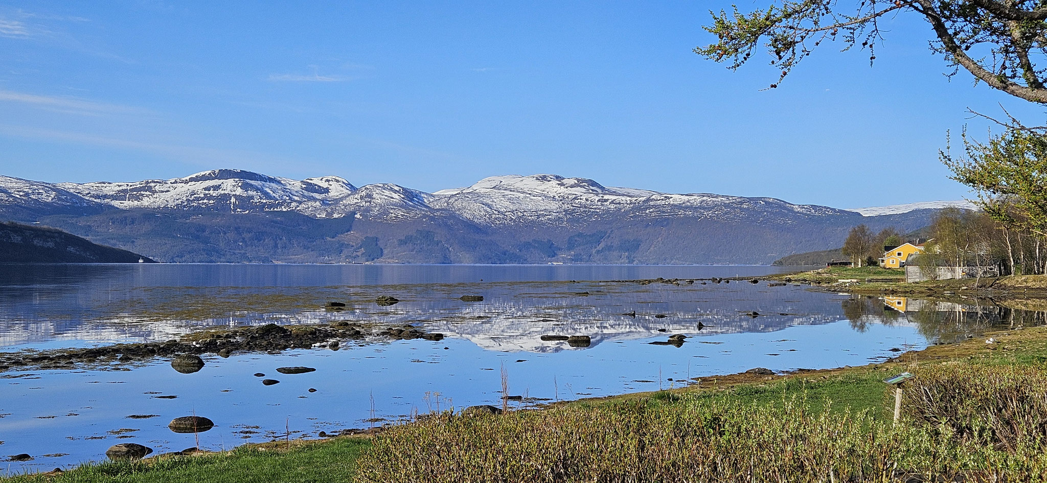 Fauske-Fjord spiegelglatt