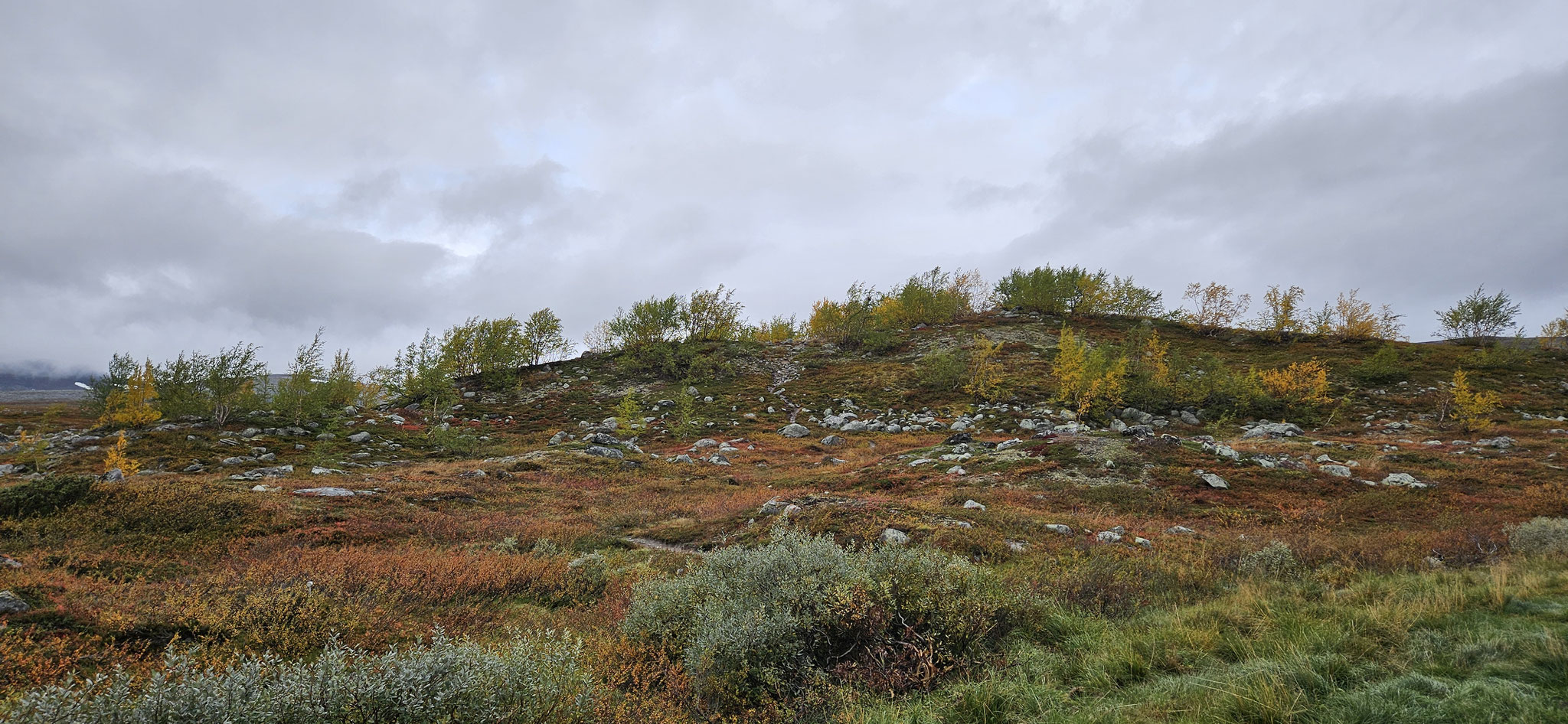 Selber sehen ist viel besser als Foto