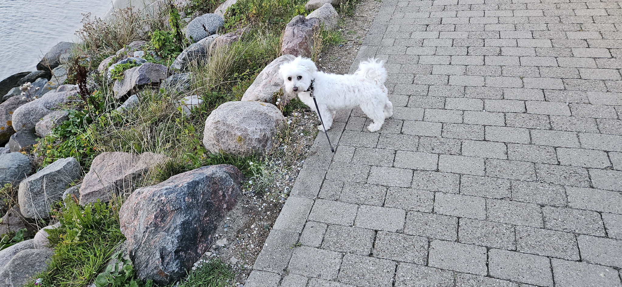 ...so ein Abendspaziergang