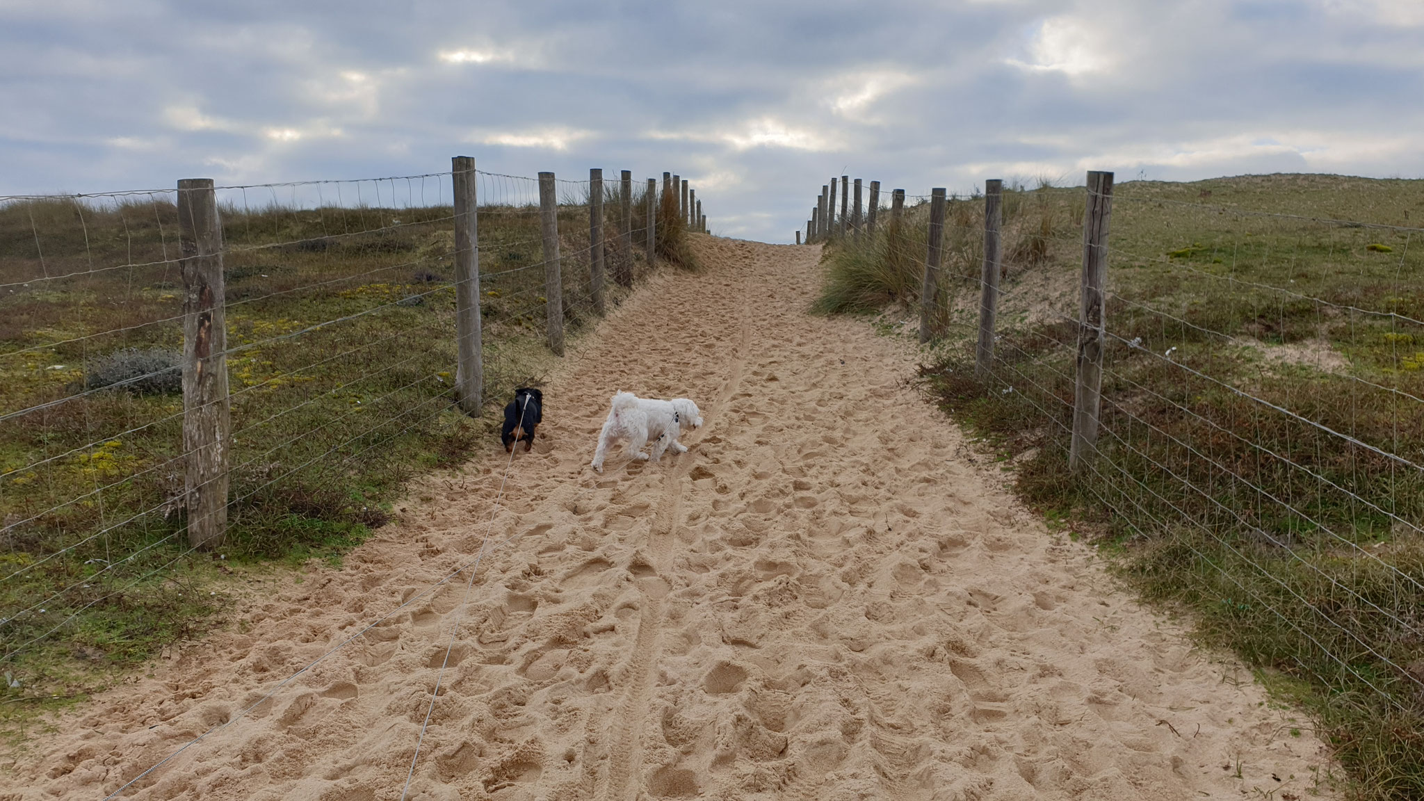 Schnell zum Meer!