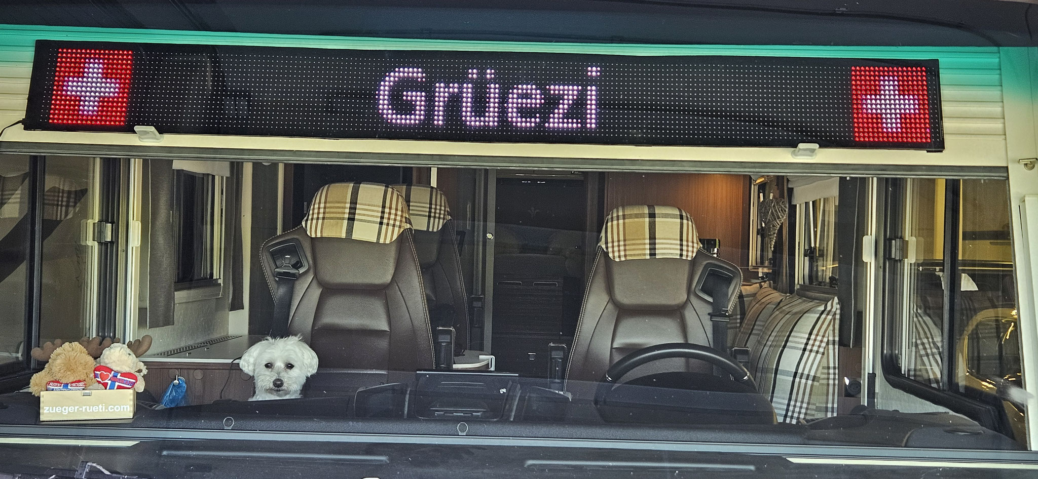 Wilson sagt Grüezi