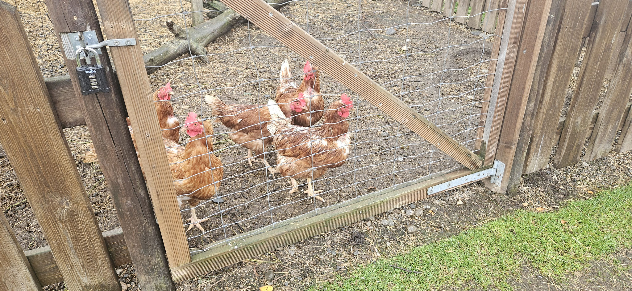 Hallo Mädels - ihr seid aber freundlich