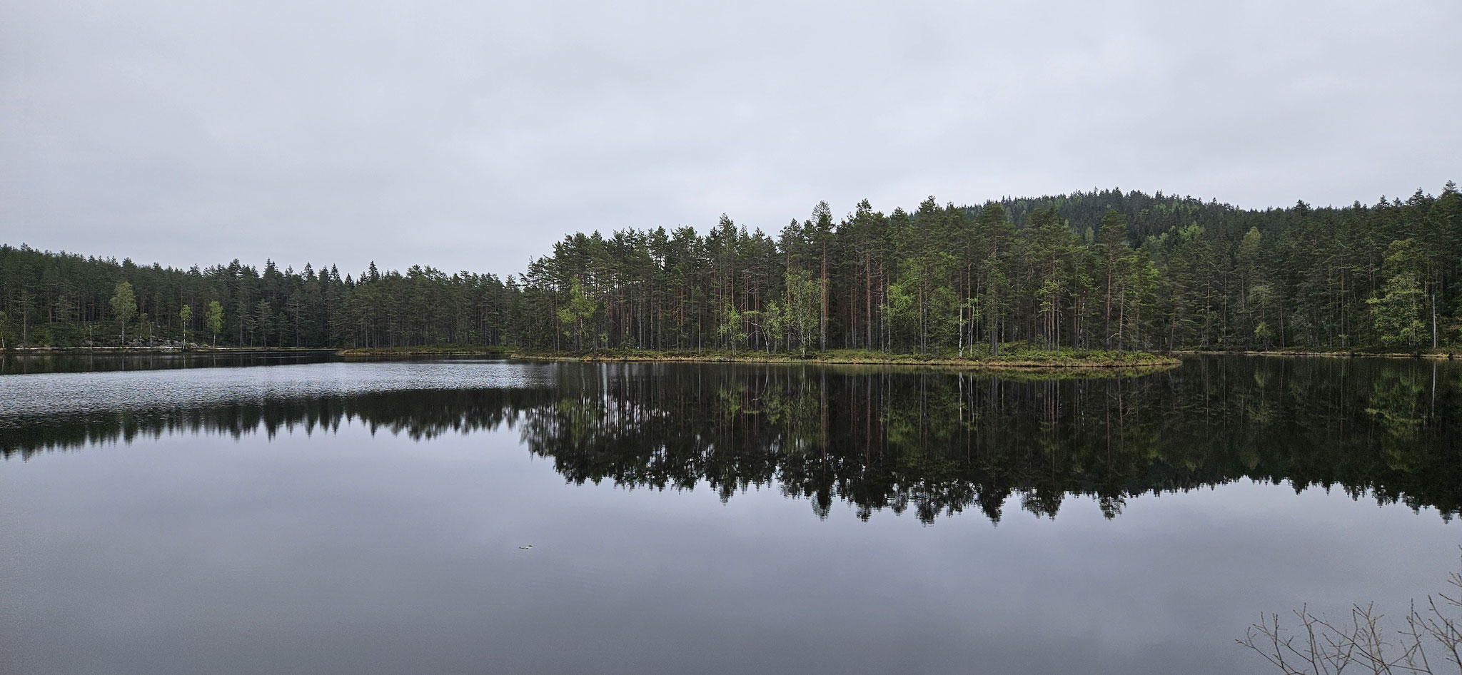 Morgenstimmung mit Spiegelung